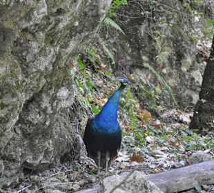 Gizli Cennet(Hidden Paradise)