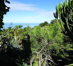 Spaziergang durch den Botanischen Garten Mascarin