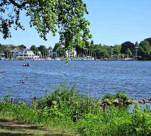 Blick vom Ufer über die Außenalster