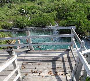 Aussicht auf Brunnen