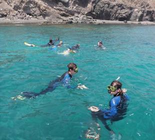 Kleine Schnorchelgruppen, angenehme Atmosphäre