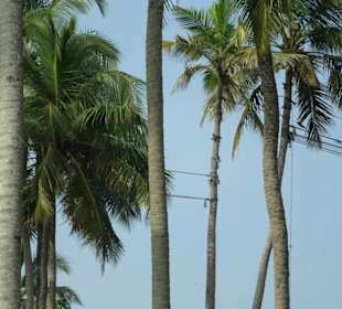 Colombo City Tour