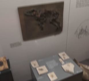 Naturkundemuseum