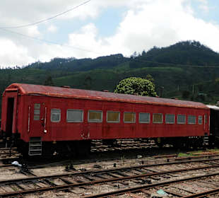 Wagon