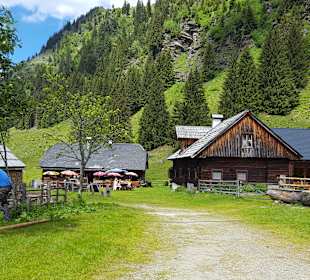 Wandern Donnersbachwald