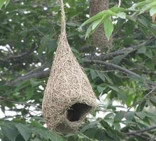 Ungewöhnliche Wohnung