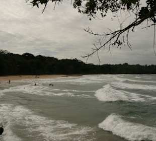 Red Frog Beach / Isla Bastimentos