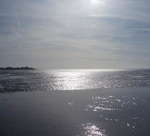 Das Wattenmeer