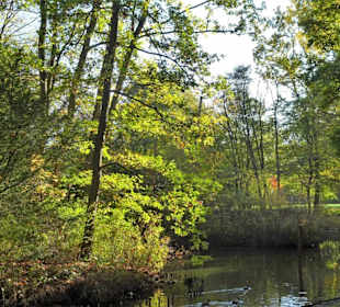 Spaziergang durch den Kurpark Wilhelmshaven