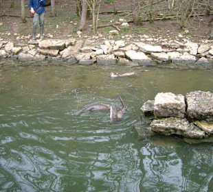 Unterwegs mit dem Tierpfleger