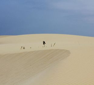 Beeindruckende Verwehungen der Dünen Varandinas