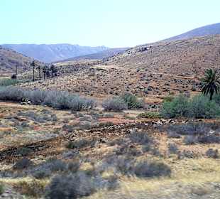 Inselrundfahrt Tagestour