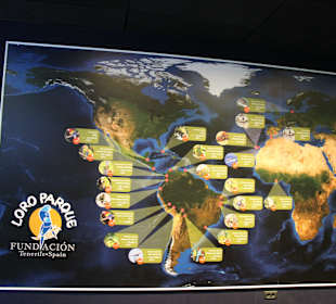 Planet Penguin - Atlas