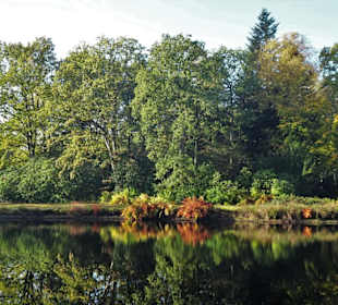 Herbstspaziergang durch den Schlosspark Lütetsburg