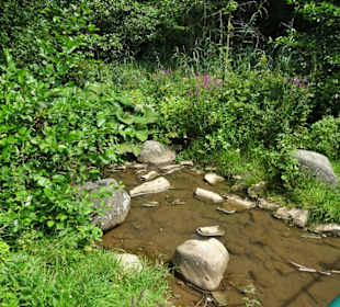 Wasserlauf im Tierpark Röhrensee