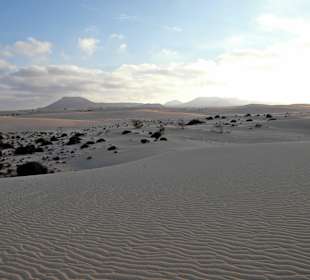 Weitläufige Dünenlandschaft