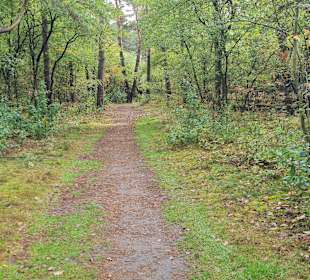 Untere Allerniederung bei Boye 