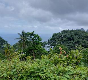 Parque Natural Obô do Príncipe