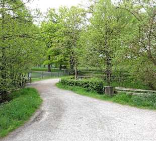 Impressionen vom Tierpark