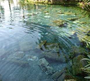 Бассейн Клеопатры