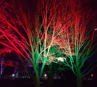 Winterleuchte 2019/2020 egapark Erfurt