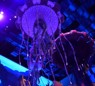 Futuristischer Bereich mit Fahrgeschäften