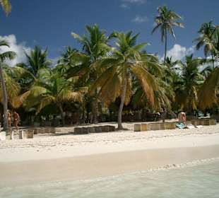 Die Insel Saona