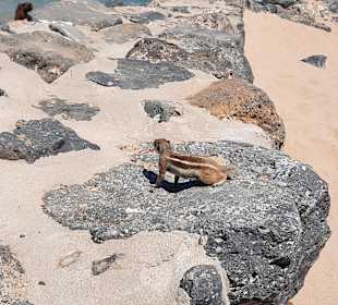 Strand Playa del Castillo