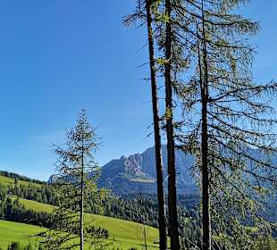 Wandern Nova Levante / Welschnofen