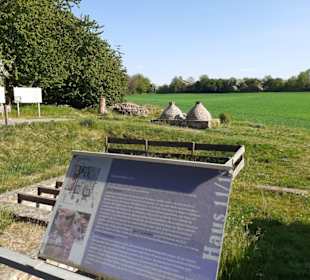 Römischer Vicus Eisenberg in Eisenberg (Pfalz)