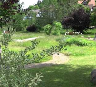 Wanderung Klosterquelle Klosterreichenbach