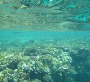 Schnorcheln in der Coraya bay