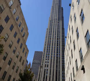 Stadtrundfahrt New York