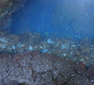 Unterirdischer See mit blinden Albino-Krebsen 