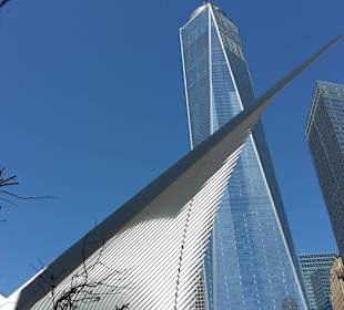 Oculus NYC