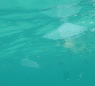 Südwestküste Mallorca