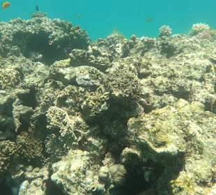 Tauchbasis Tauchen unter Freunden