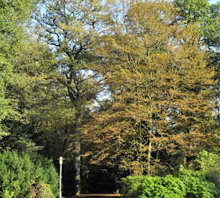 Impressionen aus dem Hamburger Stadtpark