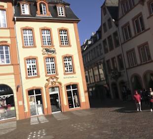Steipe