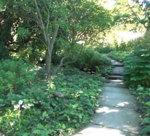 Staudengarten - Berggarten