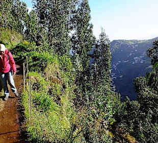 Der Weg wird auch ein bißchen schmaler