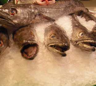 Fisch