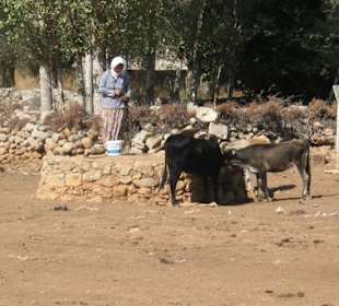 Ausflug vom Loryma Blick ins Hinterland