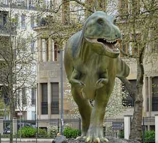 Naturkundemuseum Senckenberg