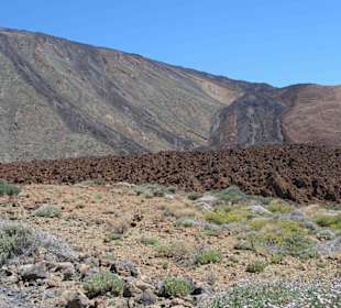 Lavafeld im Teide Nationalpark