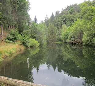 Hornesselwiese Weiher