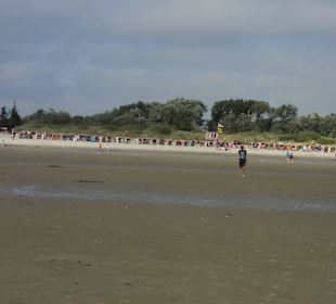 Blick bei Ebbe zum Hauptstrand