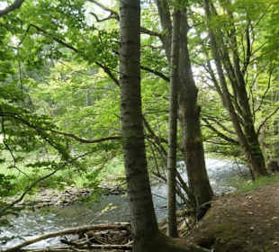 Von Bayerisch Eisenstein nach Ludwigsthal