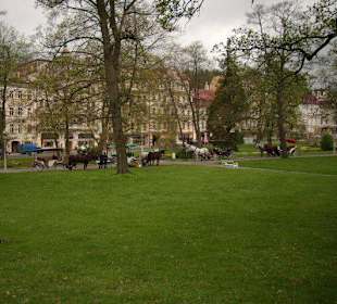 Pferdegespanne an der Hauptstrasse