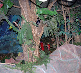 Подземный аттракцион